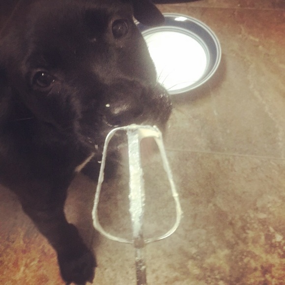 Smile- you’re shopping! Bonus “bargain hunting” - Picture 2 of 15